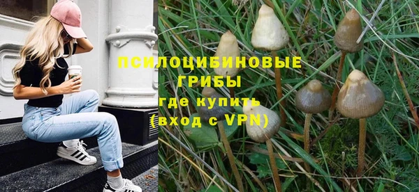 спайс Аркадак