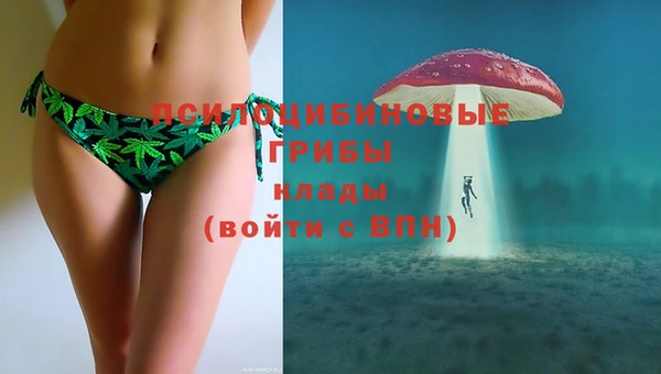 спайс Аркадак