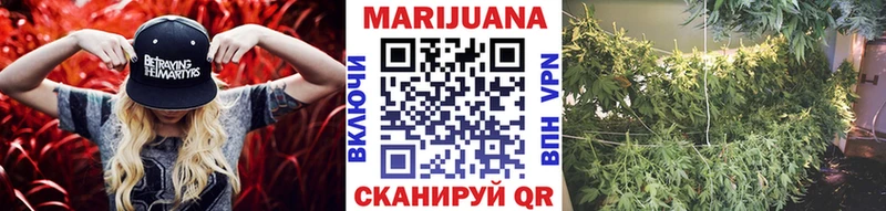 Каннабис SATIVA & INDICA Медногорск